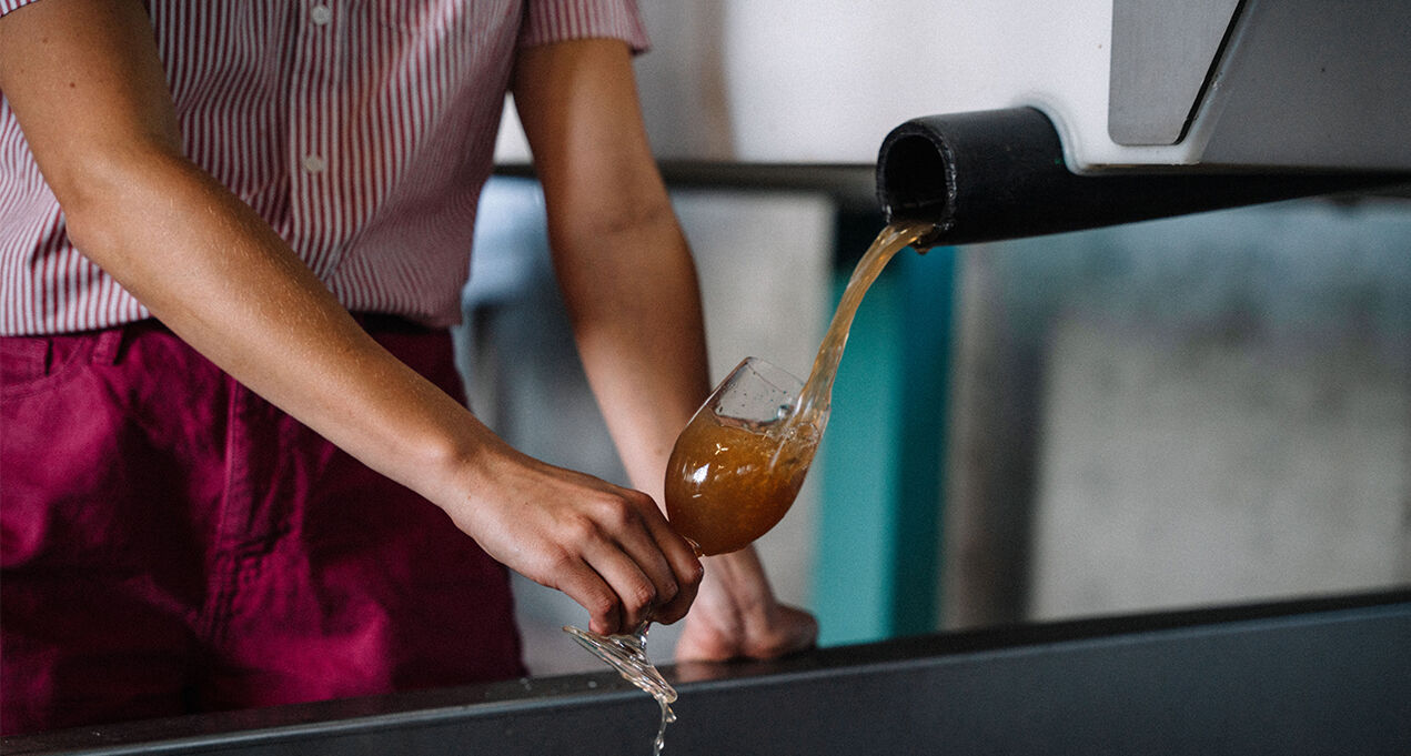 Harvest wine process with wine pouring from equipment into glass